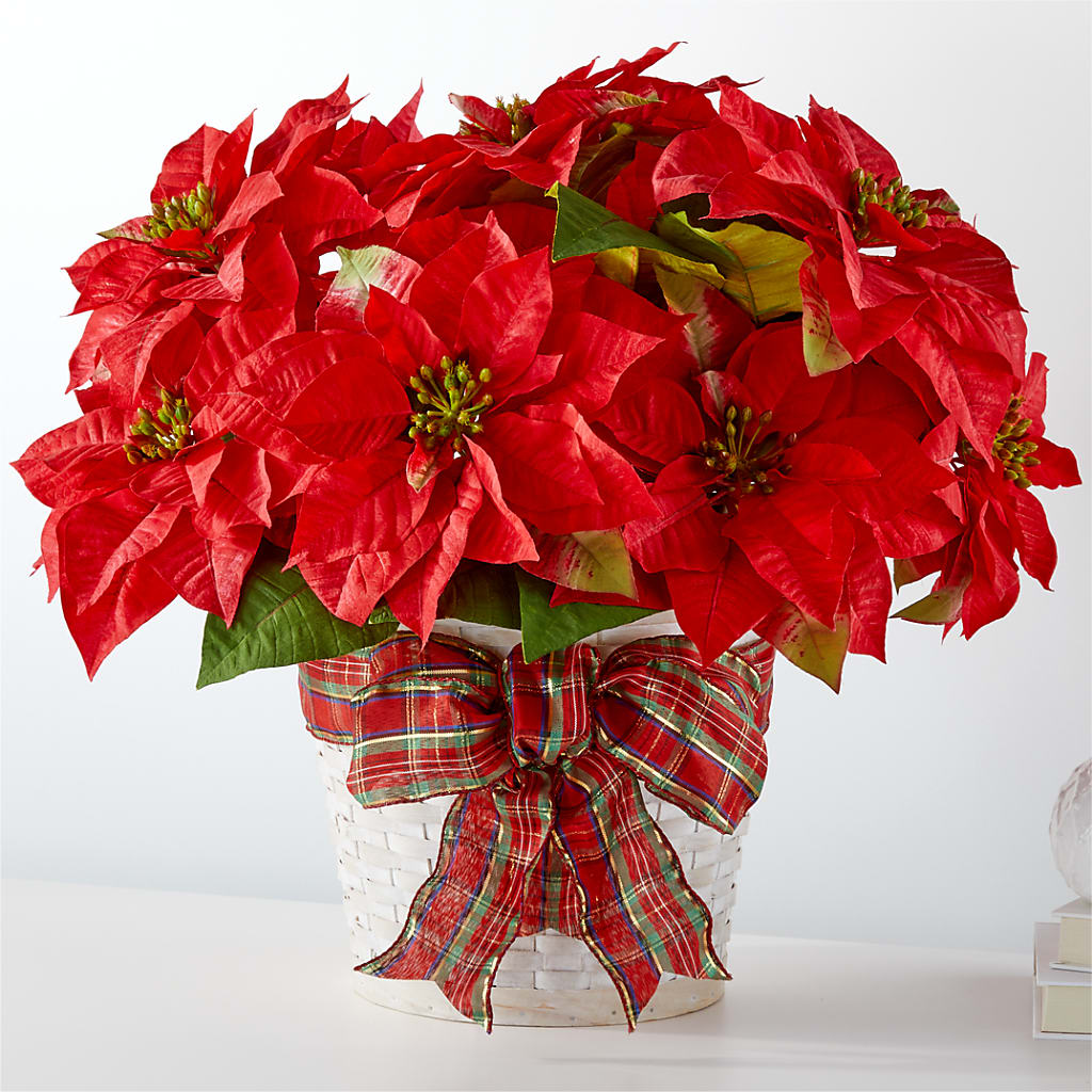Happiest Holidays Poinsettia – Nix Florist, Hampton SC