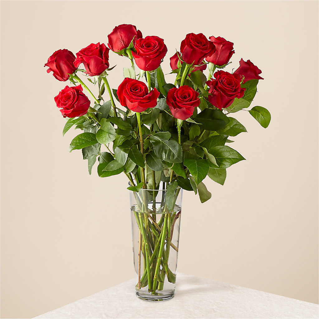 Long Stem Red Rose Bouquet – Nix Florist, Hampton SC