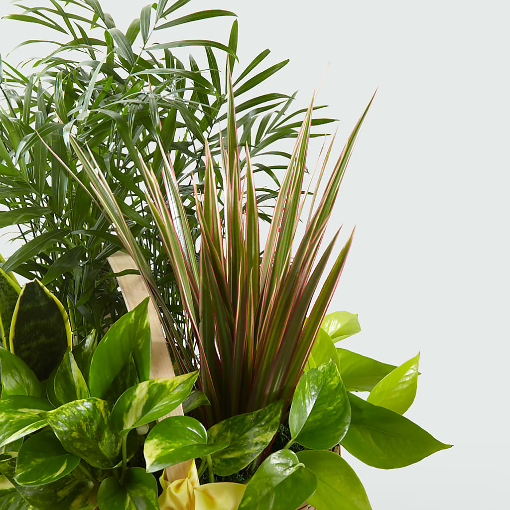 French Garden – Nix Florist, Hampton SC