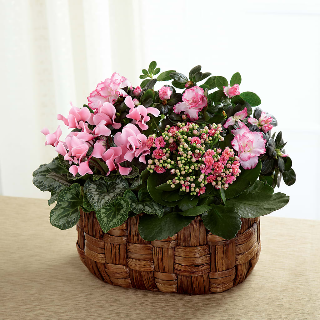 Pink Assortment – Nix Florist, Hampton SC