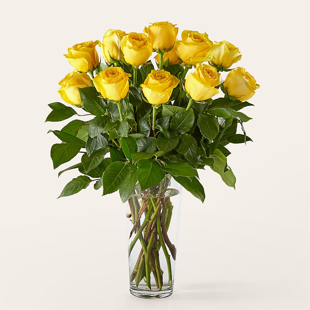 Long Stem Yellow Rose Bouquet – Nix Florist, Hampton SC