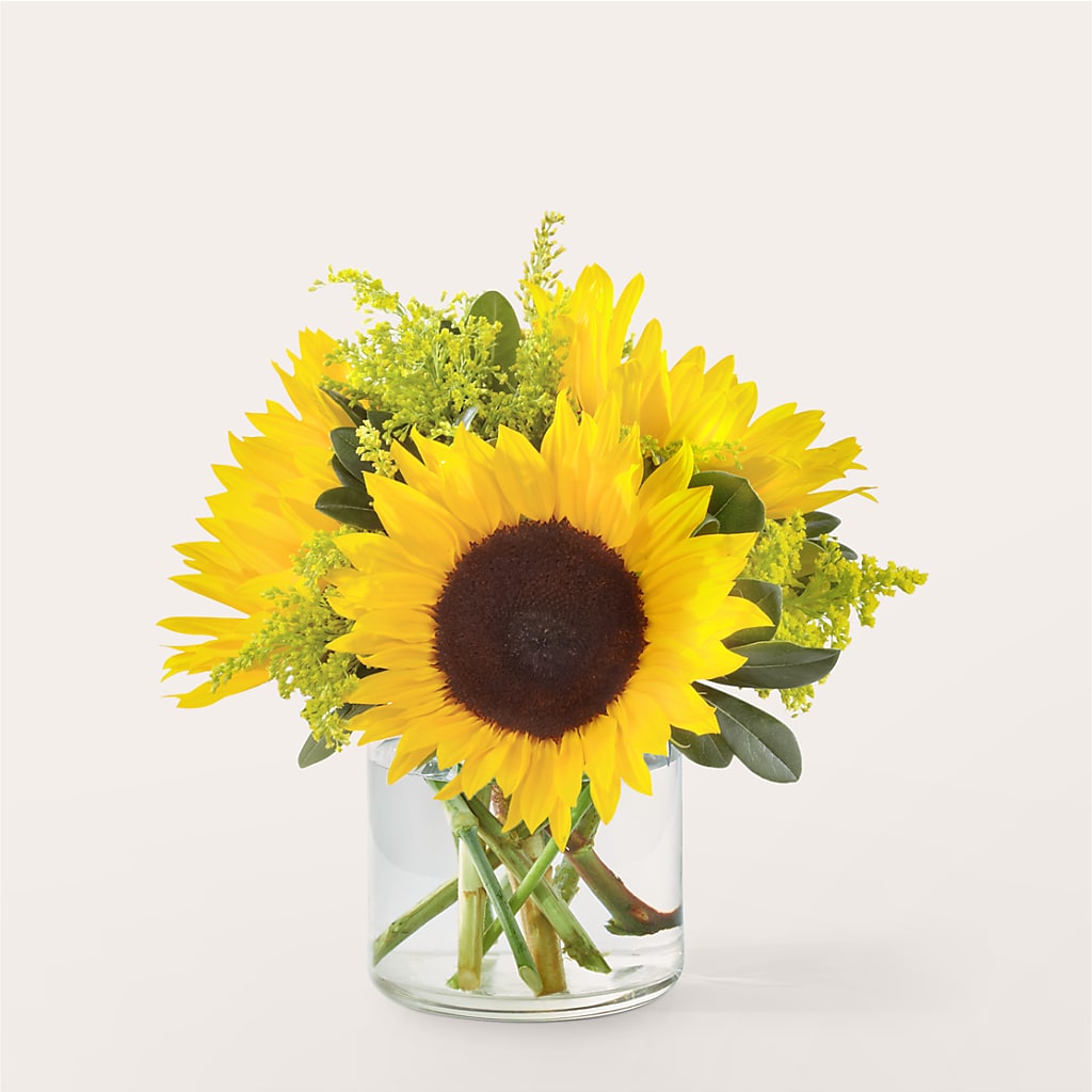 Beaming Sunflower Bouquet – Nix Florist, Hampton SC
