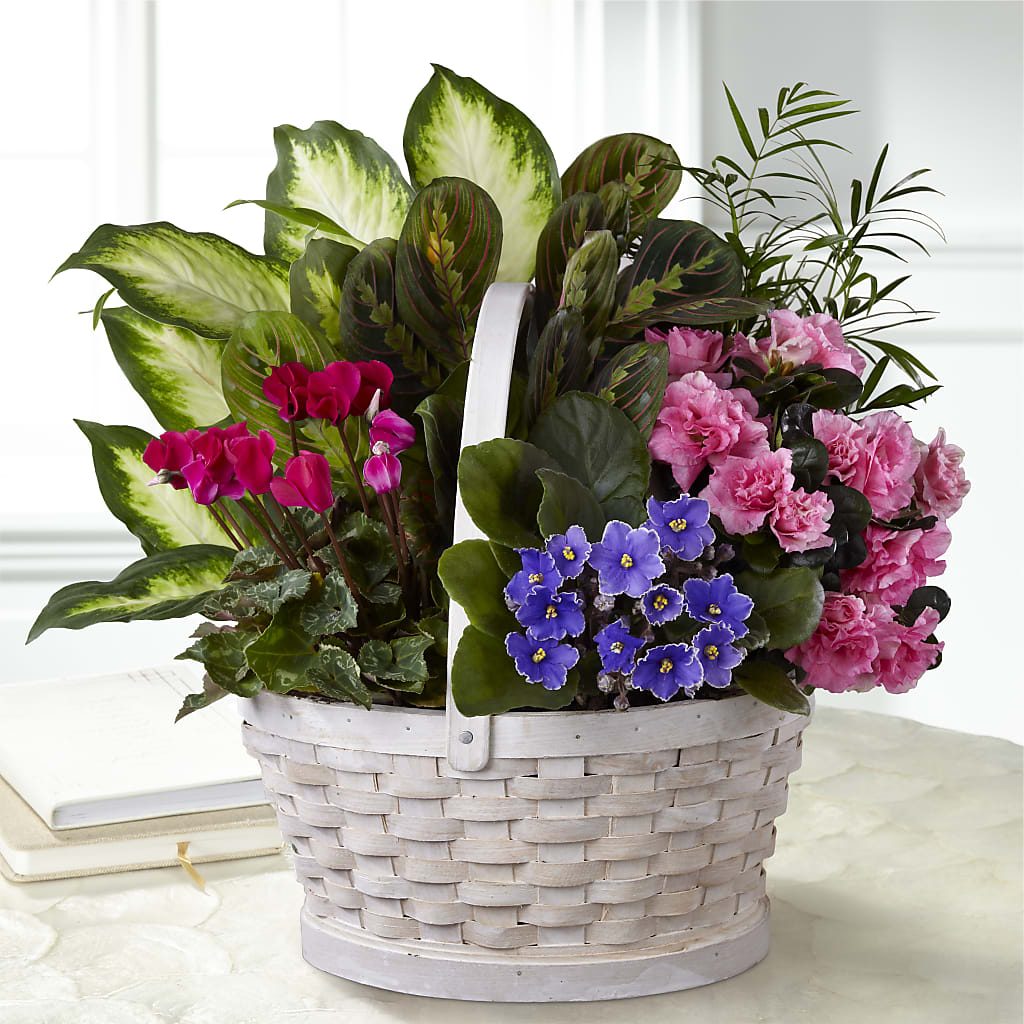 Peaceful Garden Planter – Nix Florist, Hampton SC