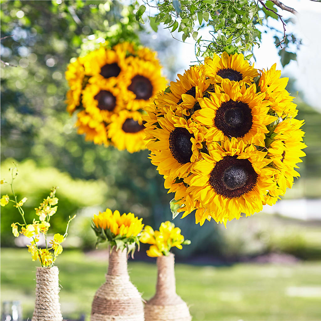Sublime Garden Hanging Arrangement – Nix Florist, Hampton SC