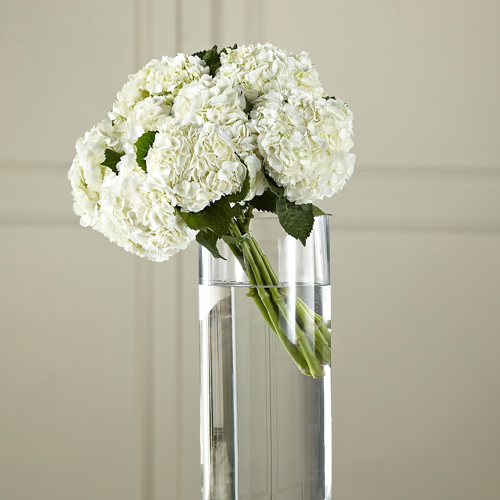 White Hydrangea Hand-Tied Bouquet – Nix Florist, Hampton SC