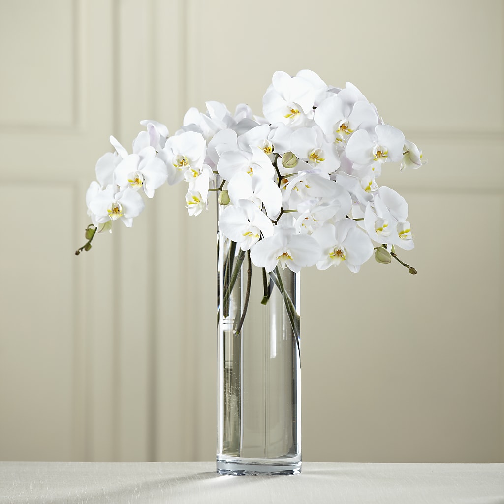 White Phalaenopsis Bouquet – Nix Florist, Hampton SC