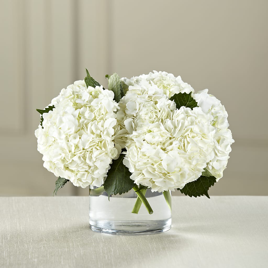 White Hydrangea Bouquet – Nix Florist, Hampton SC