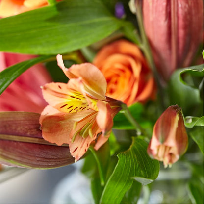 Bold & Bright – A Florist Original –  Nix Florist, Hampton SC