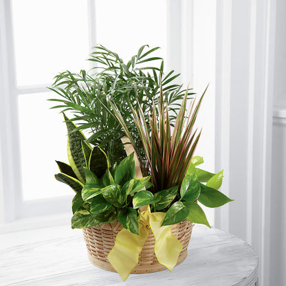 French Garden –  Nix Florist, Hampton SC