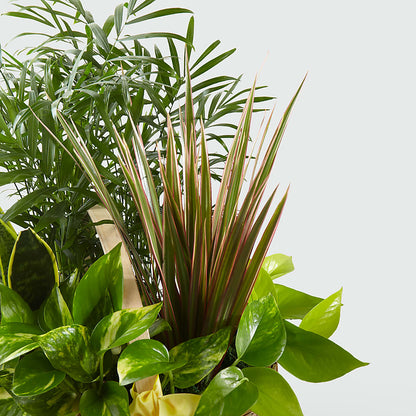 French Garden –  Nix Florist, Hampton SC