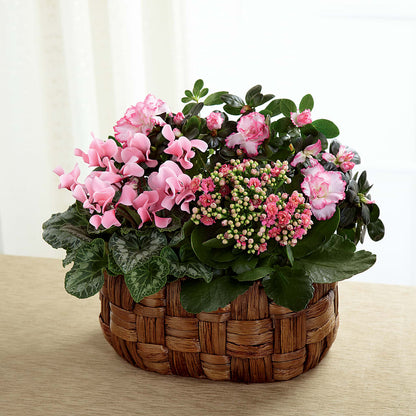 Pink Assortment –  Nix Florist, Hampton SC