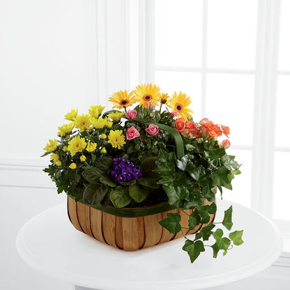 Gentle Blossoms Basket –  Nix Florist, Hampton SC