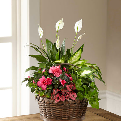 Dream in Pink Dishgarden –  Nix Florist, Hampton SC