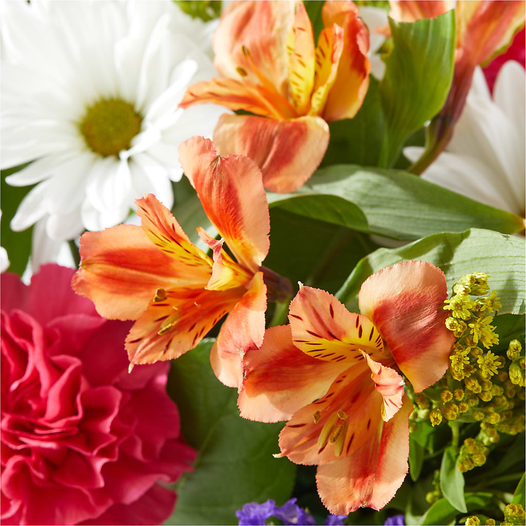 Oopsie Daisy Box Bouquet –  Nix Florist, Hampton SC