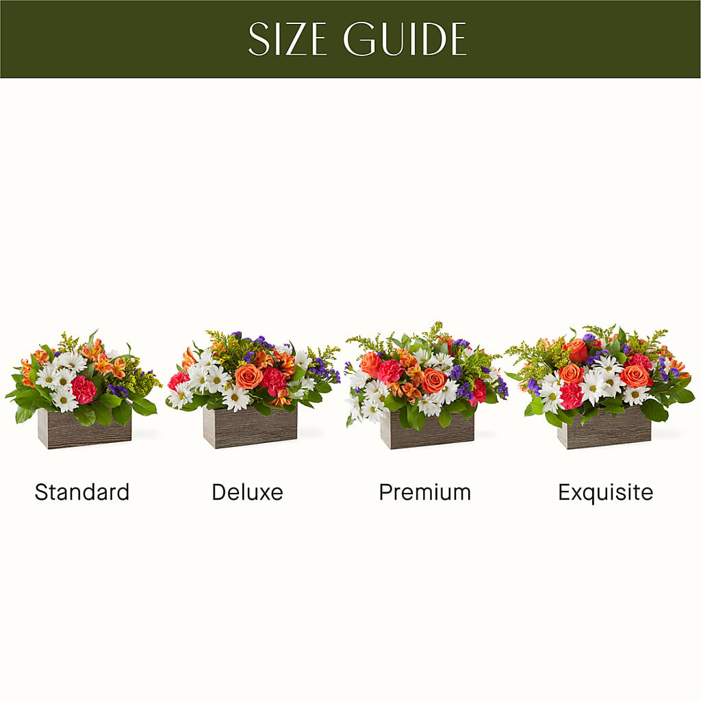 Oopsie Daisy Box Bouquet –  Nix Florist, Hampton SC