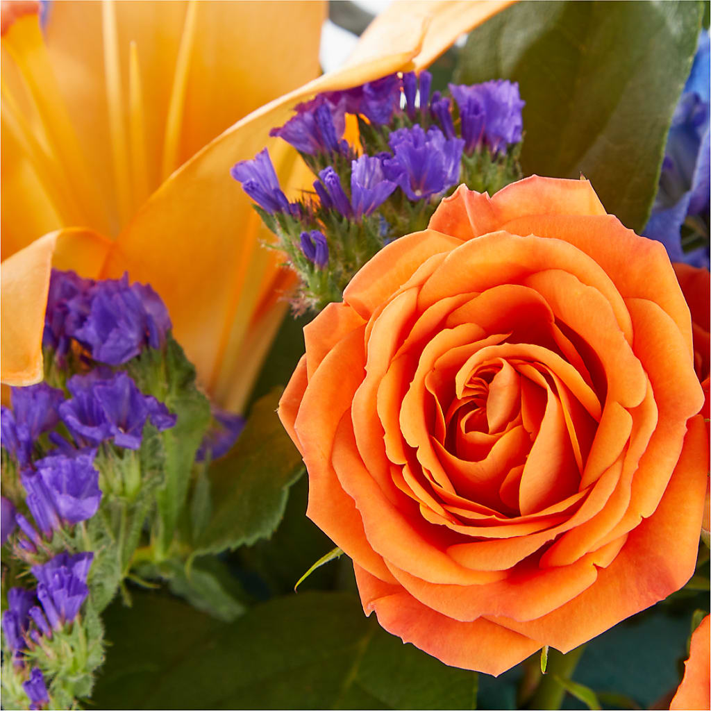 Radiant Citrus Box Bouquet –  Nix Florist, Hampton SC