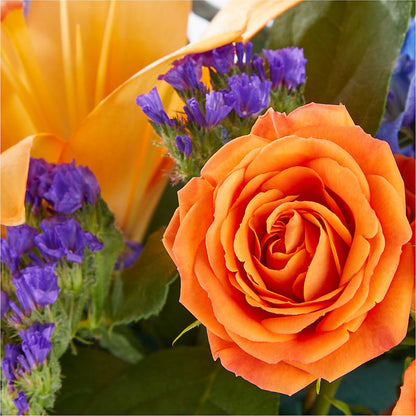 Radiant Citrus Box Bouquet –  Nix Florist, Hampton SC