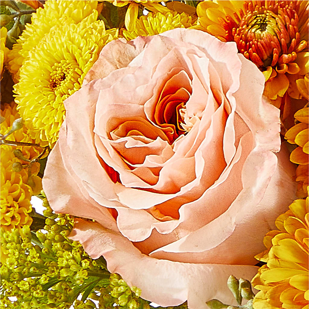 Peachy Pumpkin –  Nix Florist, Hampton SC