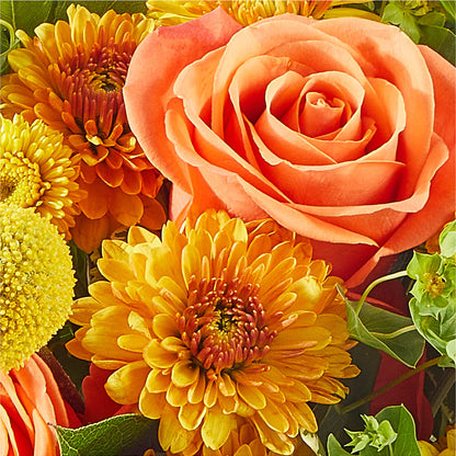 Gourdgeous Pumpkin –  Nix Florist, Hampton SC