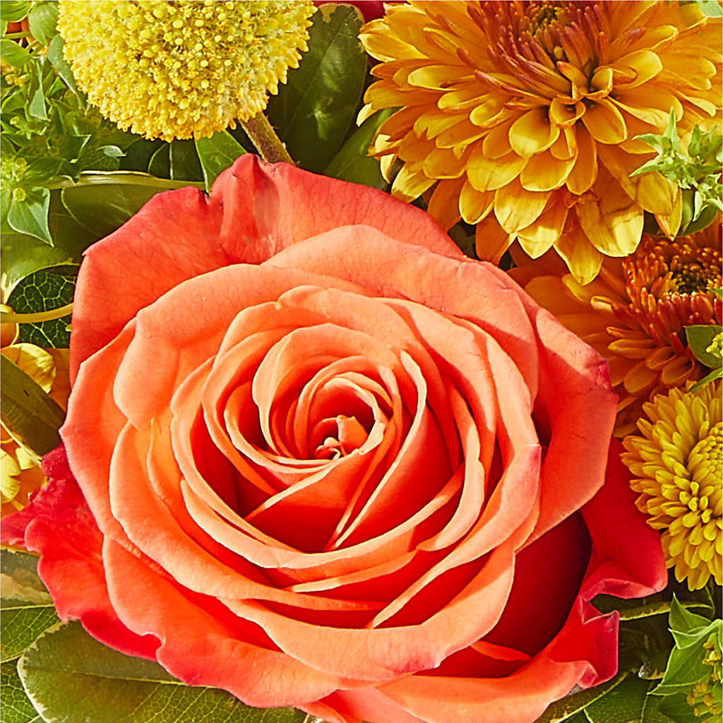 Gourdgeous Pumpkin –  Nix Florist, Hampton SC