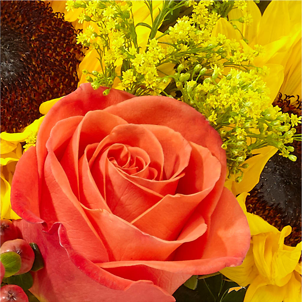 Pick of the Patch Pumpkin Bouquet –  Nix Florist, Hampton SC