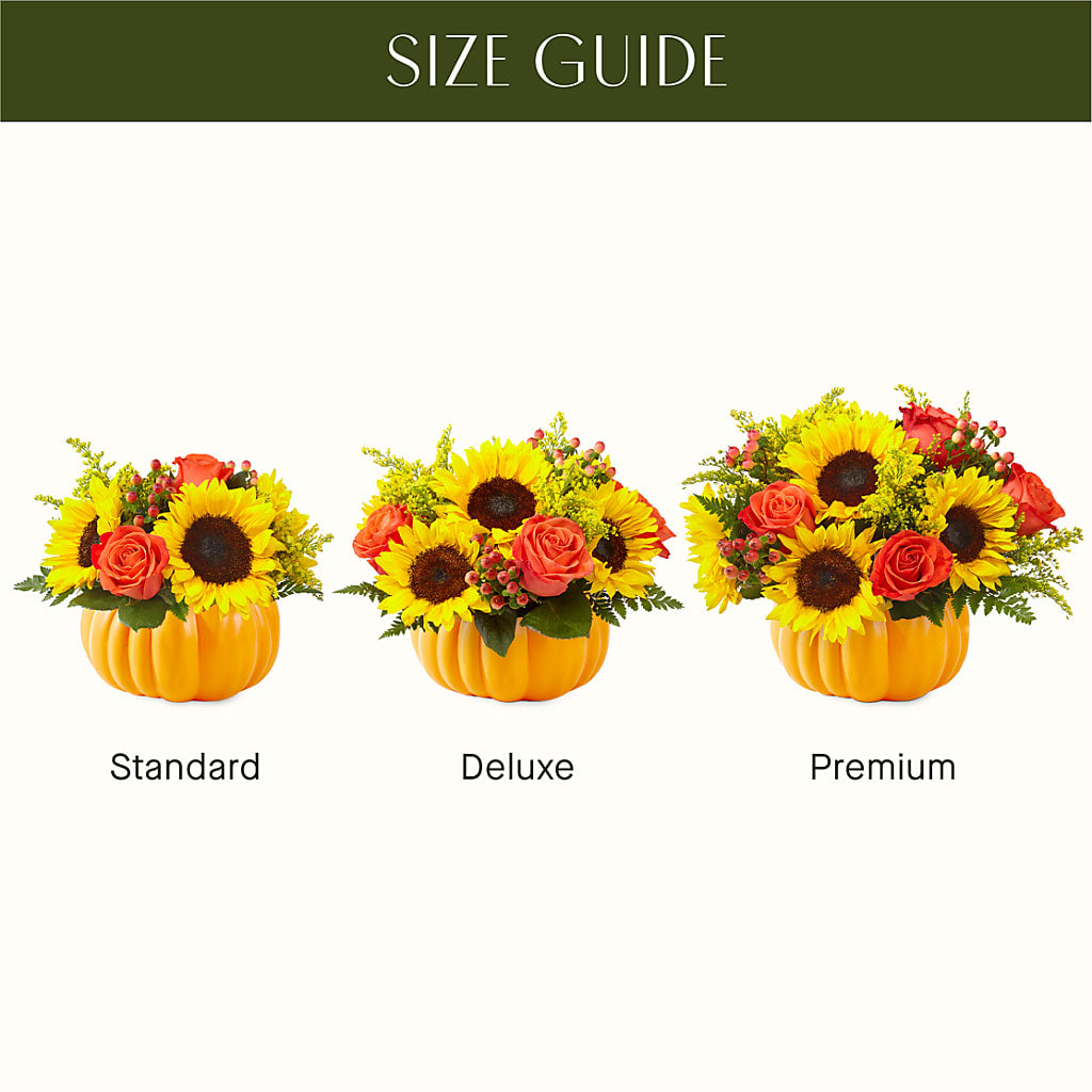 Pick of the Patch Pumpkin Bouquet –  Nix Florist, Hampton SC