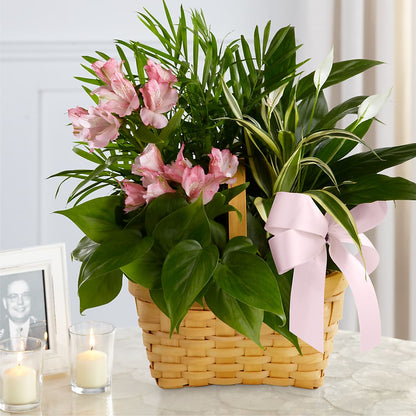 Living Spirit Dishgarden –  Nix Florist, Hampton SC
