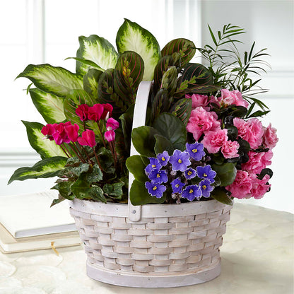 Peaceful Garden Planter –  Nix Florist, Hampton SC