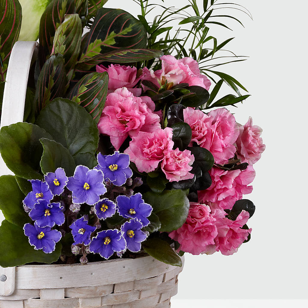 Peaceful Garden Planter –  Nix Florist, Hampton SC
