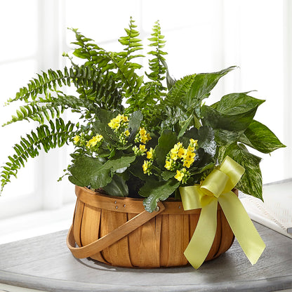 Always Dear Dishgarden –  Nix Florist, Hampton SC