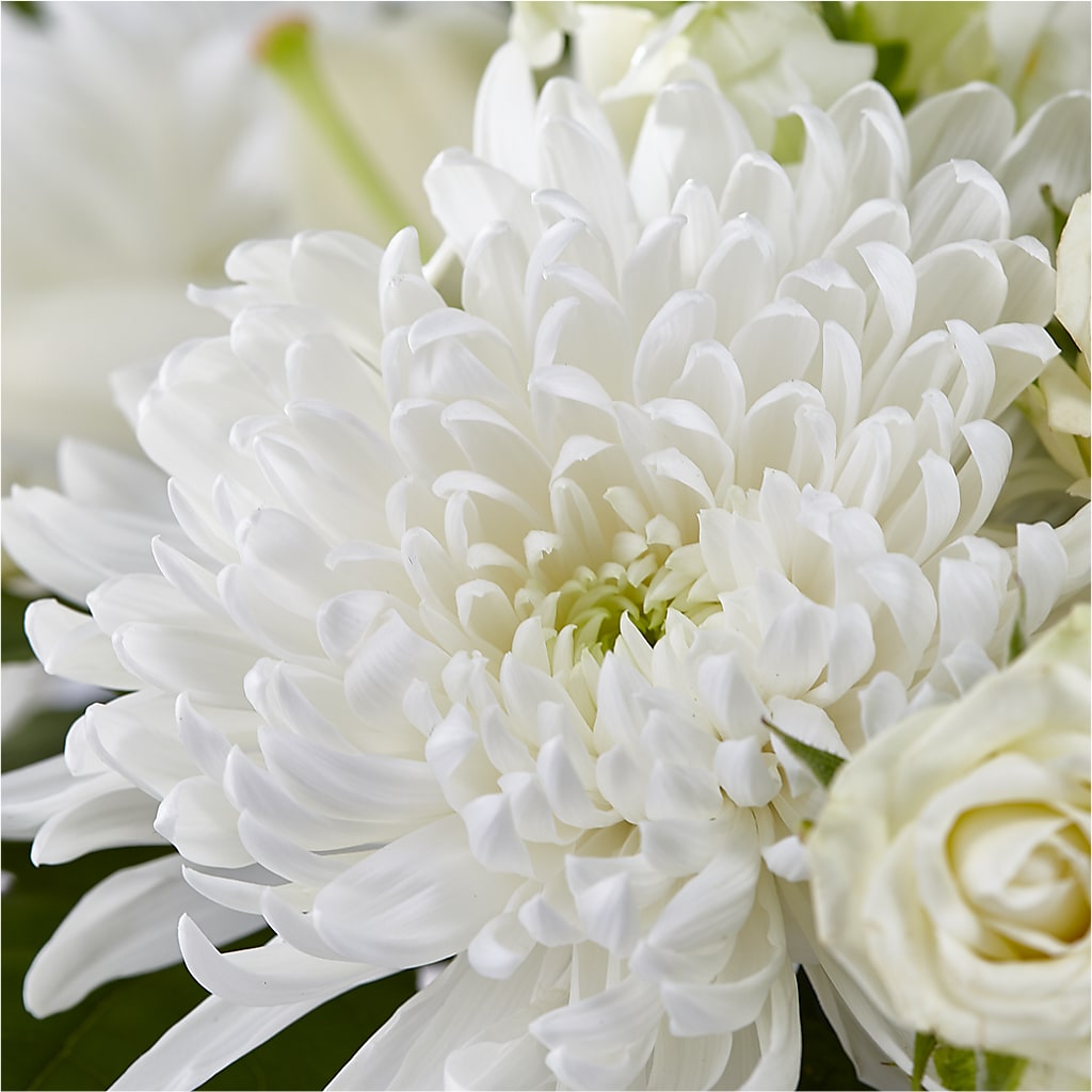 Classic Ivory – A Florist Original –  Nix Florist, Hampton SC