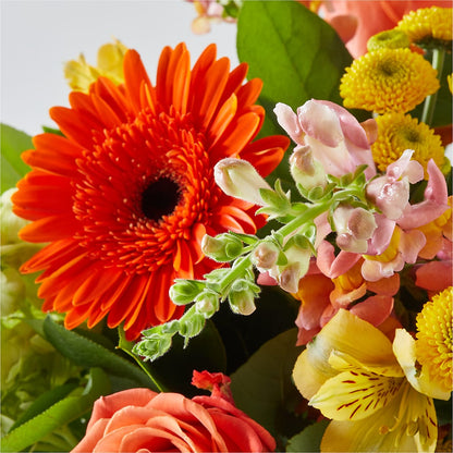 Autumn Sunshine Bouquet –  Nix Florist, Hampton SC