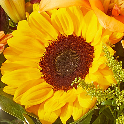 Seasons Change Bouquet –  Nix Florist, Hampton SC