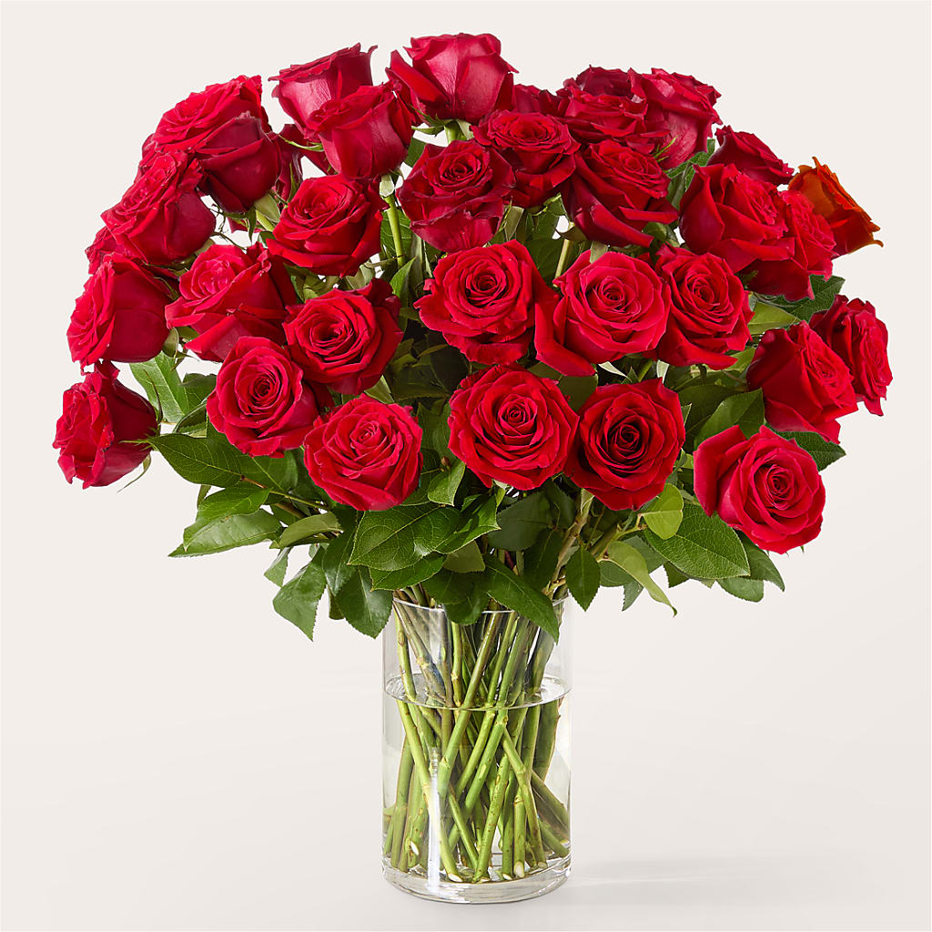 The One Red Rose Bouquet –  Nix Florist, Hampton SC