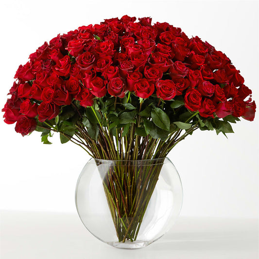 The Idealist –  Nix Florist, Hampton SC