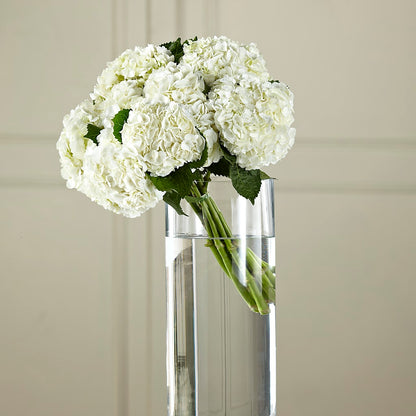 White Hydrangea Hand-Tied Bouquet –  Nix Florist, Hampton SC