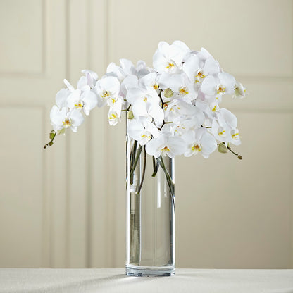 White Phalaenopsis Bouquet –  Nix Florist, Hampton SC