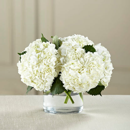 White Hydrangea Bouquet –  Nix Florist, Hampton SC