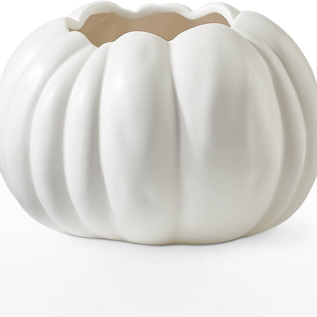 Autumn Air Pumpkin Bouquet –  Nix Florist, Hampton SC